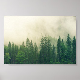 Póster Bosque poster