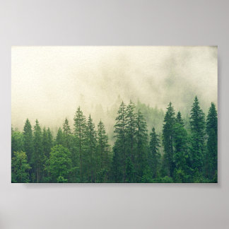 Póster Bosque poster, gran bosque