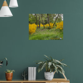 Póster Bosque primaveral en Luxemburgo viaje