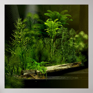 Póster bosque profundo carbo 2