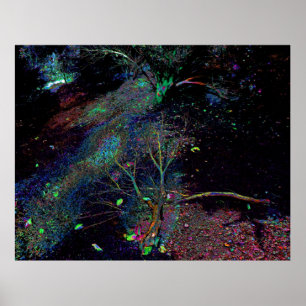 Póster Bosque psicodélico...