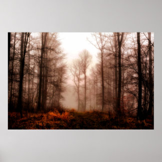 Póster Bosque snowless del invierno de niebla rojo