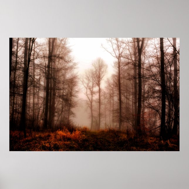 Póster Bosque snowless del invierno de niebla rojo (Frente)