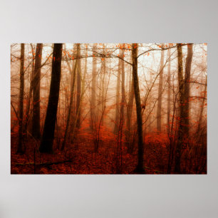 Póster Bosque snowless del invierno de niebla rojo