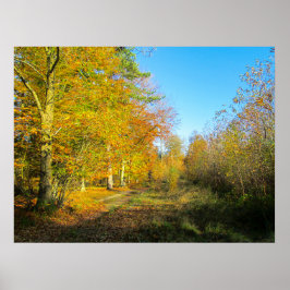 Póster Bosque Soleado de Otoño - Personalizado