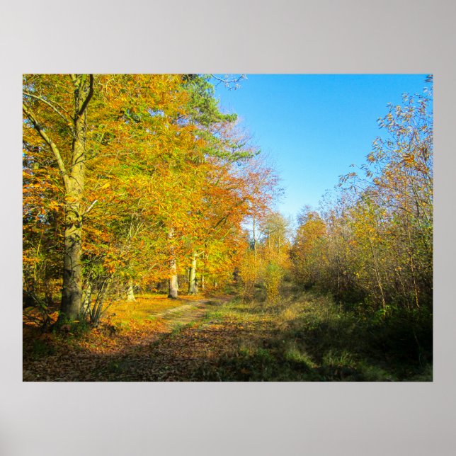 Póster Bosque Soleado de Otoño - Personalizado (Frente)