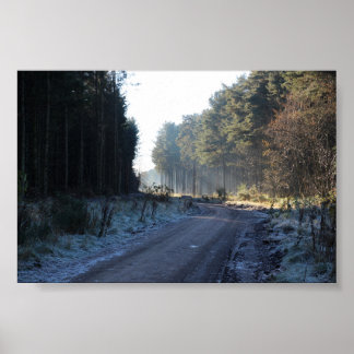 Póster Bosque Tentsmuir