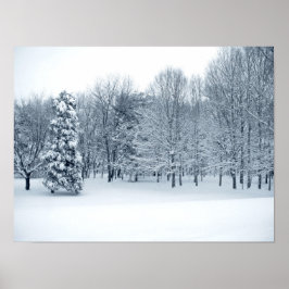 Póster Bosque tranquilo