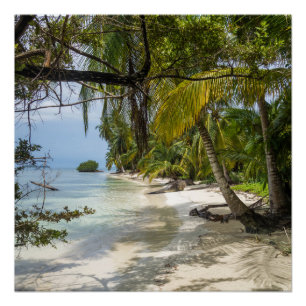 Póster Bosque tropical