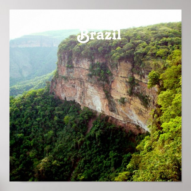 Póster Bosque tropical de Brasil (Frente)