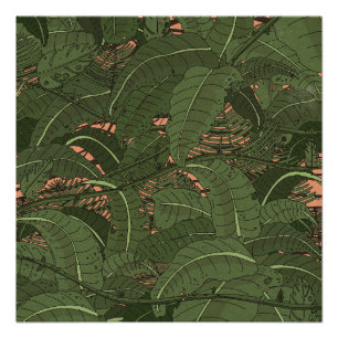 Póster Bosque tropical de la selva