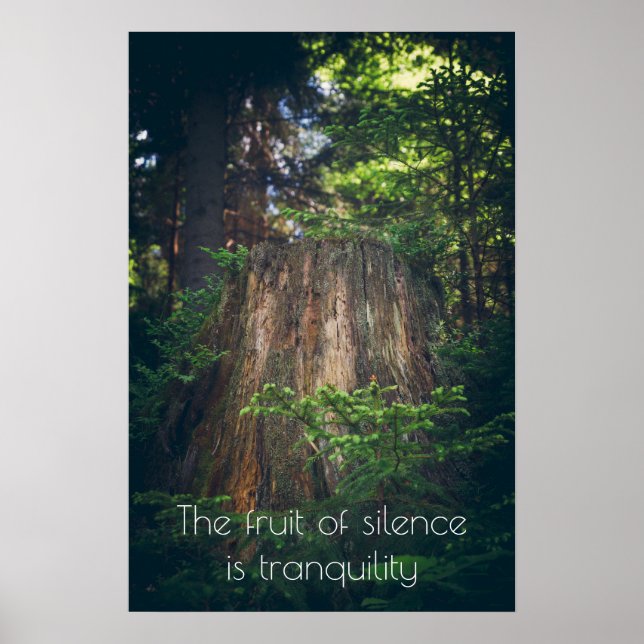 Póster Bosque veraniego tranquilo  (Frente)