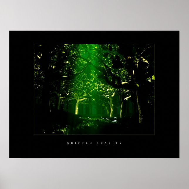 Póster Bosque verde (Frente)