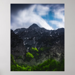 Póster Bosque verde iluminado por el sol bajo las montaña