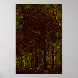 Póster Bosque verde oscuro