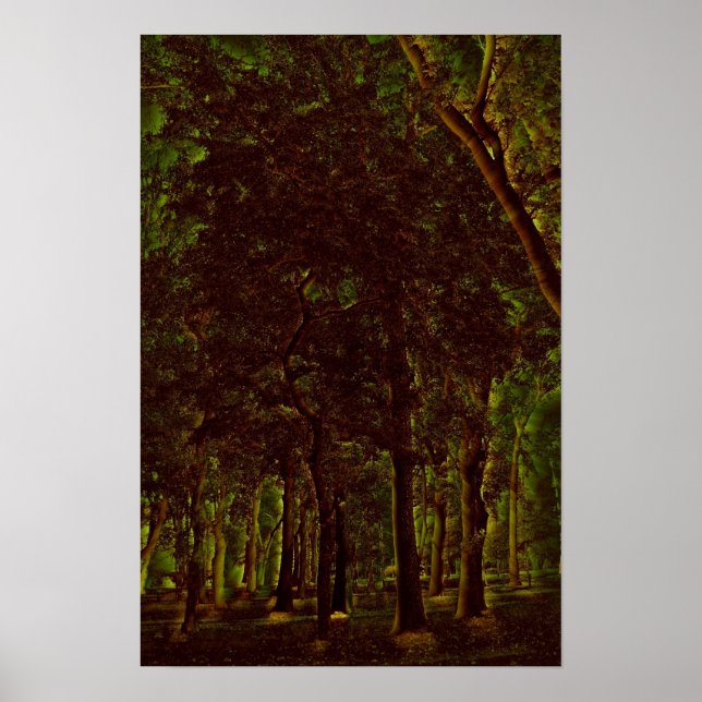 Póster Bosque verde oscuro (Frente)