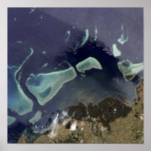 Póster Bosque verde profundo en la tierra