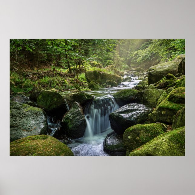 Póster Bosque verde y río (Frente)