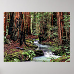 Póster Bosquejo de la profundidad 92