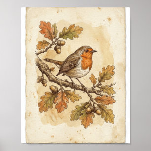 Póster Bosquejo de pájaro antiguo francés I