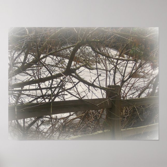 Póster bosques (Frente)