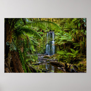 Póster Bosques Beauchamp Falls Australia