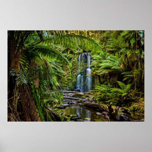 Póster Bosques | Beauchamp Falls Australia (Frente)