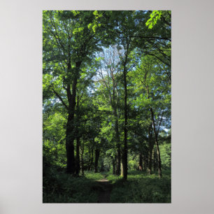Póster Bosques. Bute Park, Cardiff