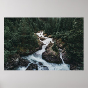 Póster Bosques Cantón Grison Graubunden