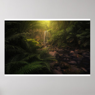 Póster Bosques   Cascada con los aspectos más destacados 