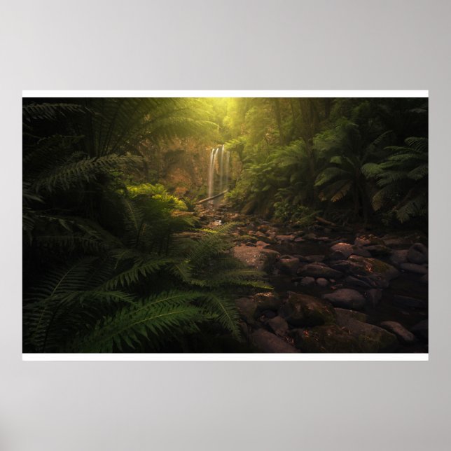Póster Bosques | Cascada con los aspectos más destacados  (Frente)