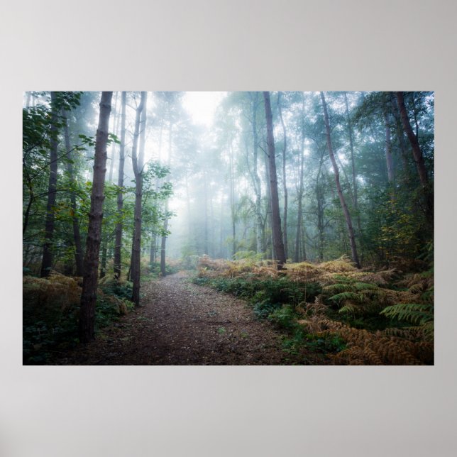 Póster Bosques | Dark Foggy Woods Norfolk Reino Unido (Frente)