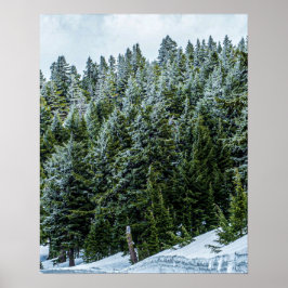 Póster Bosques de bancos de nieve // Bosque de árboles de