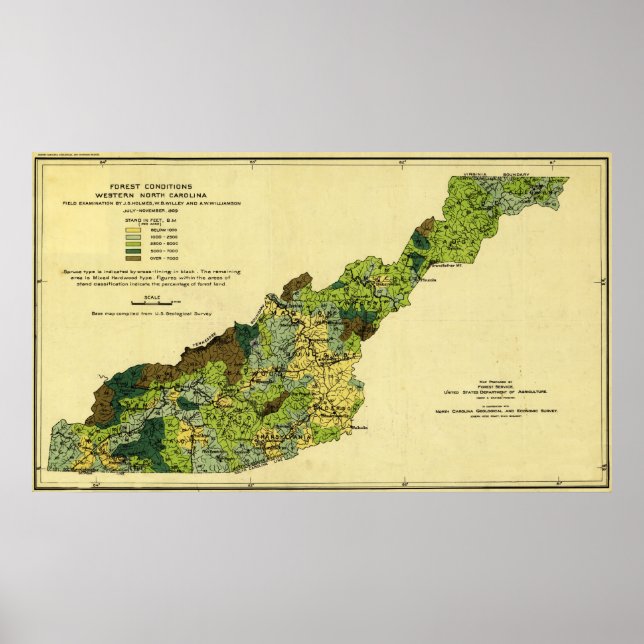 Póster Bosques de Carolina del Norte Occidental Mapa Pano (Frente)