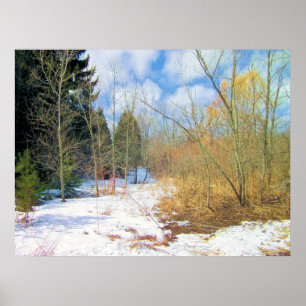 Póster Bosques de invierno