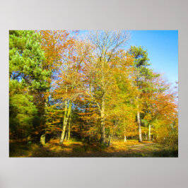 Póster Bosques de otoño y sol - Personalizado