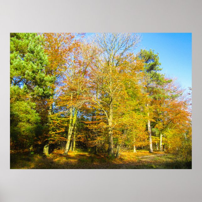 Póster Bosques de otoño y sol - Personalizado (Frente)