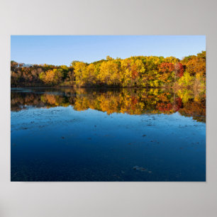 Póster bosques del parque marthaler y reflexiones del oto
