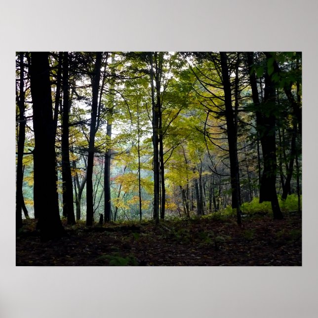 Póster Bosques místicos en el desfiladero de Quechee (Frente)