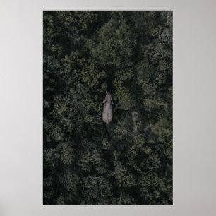 Póster Bosques Reserva de caza de Lalibela