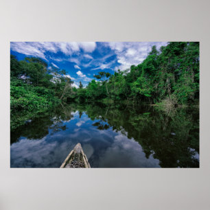 Póster Bosques   Selva de selva peruana