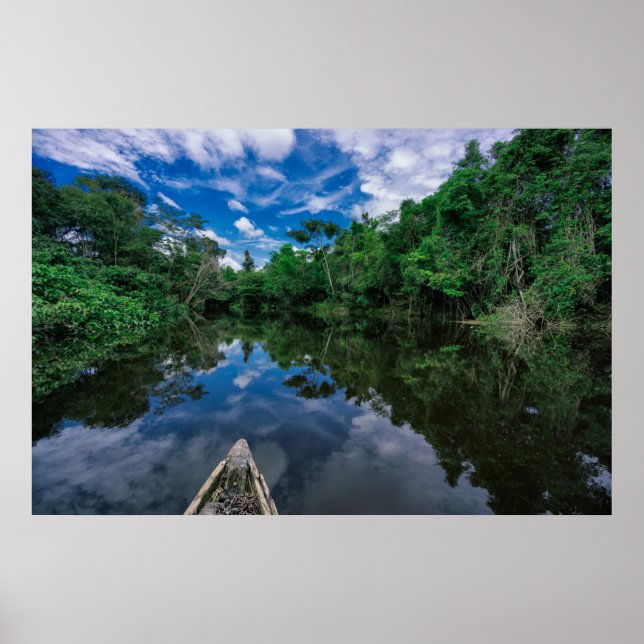 Póster Bosques | Selva de selva peruana (Frente)