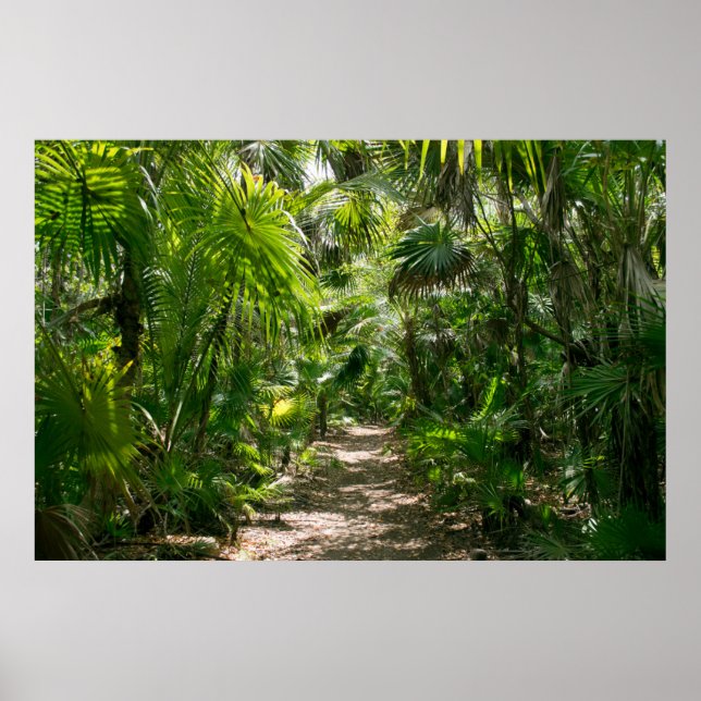 Póster Bosques | Tropical Rainforest Tulum Mexico (Frente)