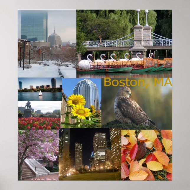 Póster Boston, Collage de fotos de Massachusetts (Frente)