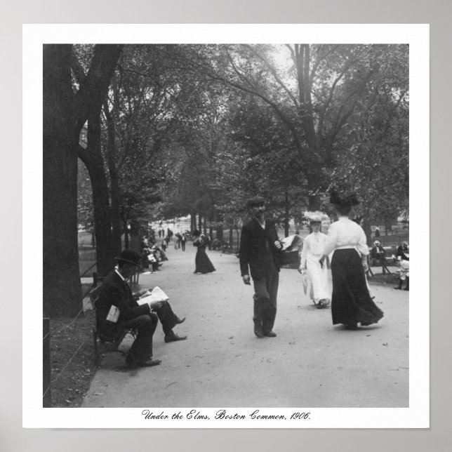 Póster Boston Common de la época, Under the Elms, Estados (Frente)