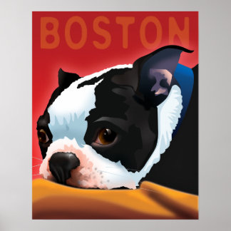 Póster Boston Terrier