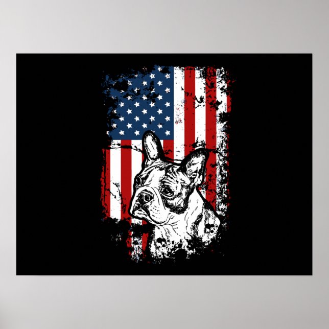 Póster Boston terrier (Frente)