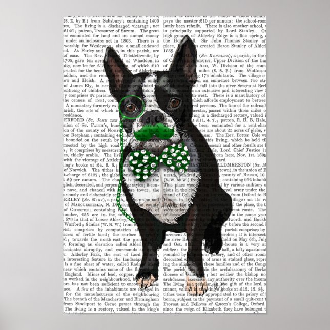 Póster Boston Terrier con bigote verde (Frente)
