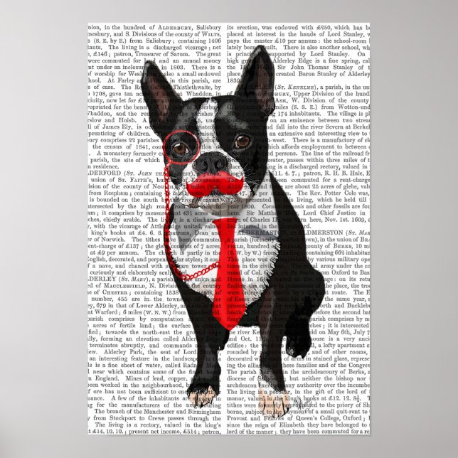 Póster Boston Terrier con los pies rojos y el bigote (Frente)