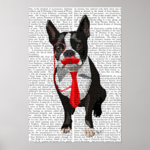 Póster Boston Terrier con los Tiempos Rojos y el Mustache